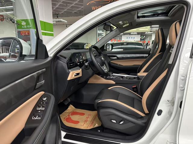 GEELY OkavangoPRO 2024 car image #8