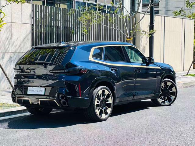 BMW XM 2025 car image #8