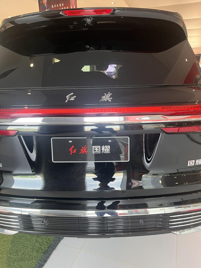 HongQi GuoYao car image #8