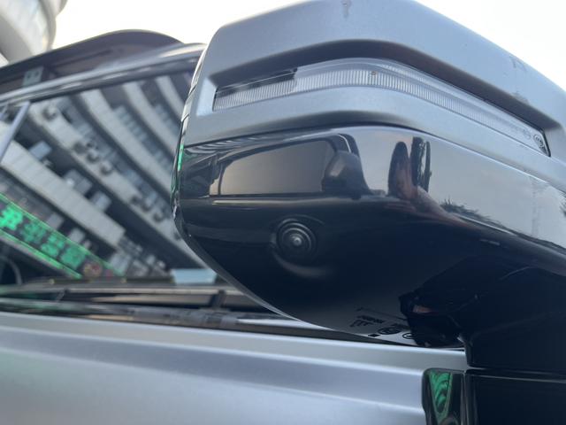 Haval Raptor 2025 immagine di auto #8