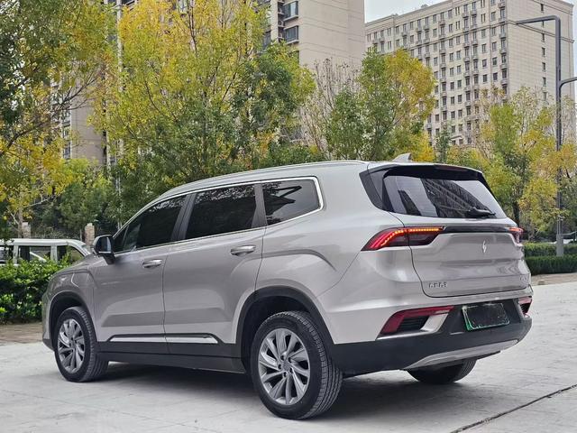 睿蓝汽车 睿蓝9 2023 汽车图片 #8