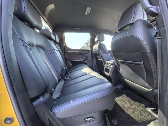 Great Wall Shanhai Pao Hi4-T 2025 car image #8