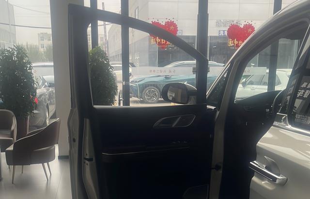 HongQi HQ9 2023 car image #8