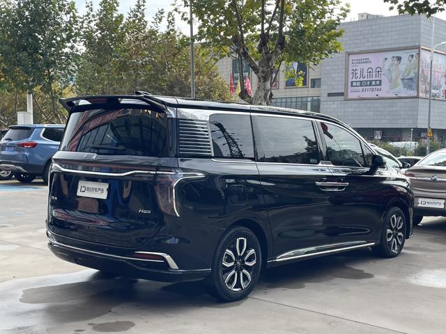 HongQi HQ9 2023 #8 HongQi HQ9 2023 car image #8