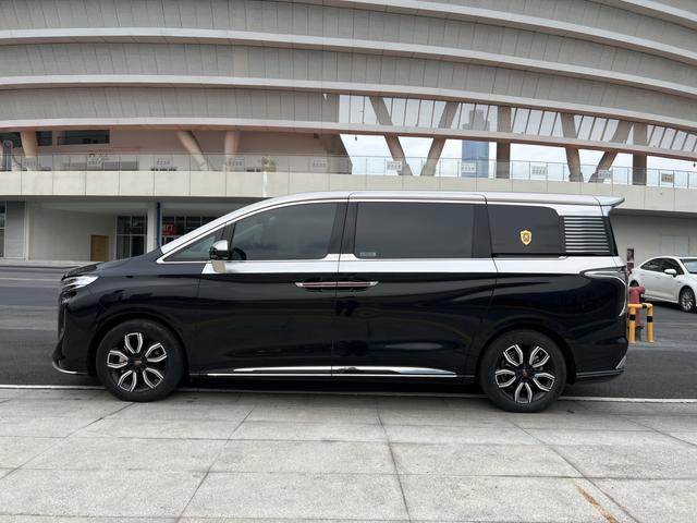 HongQi HQ9 2023 car image #8