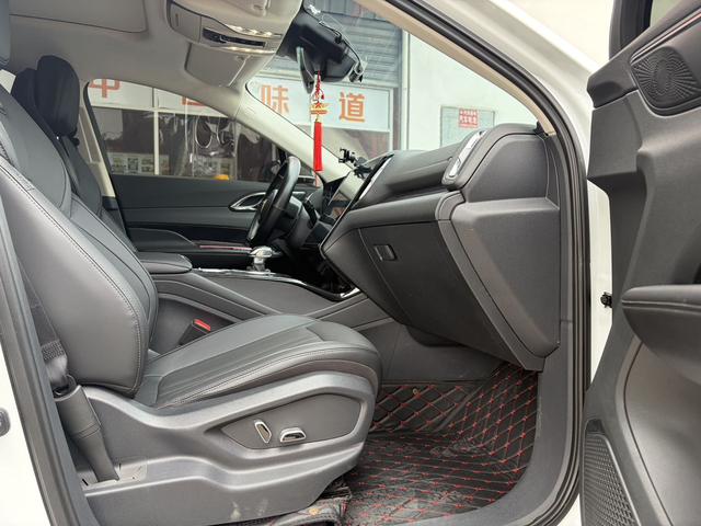 HongQi HS3 2023 immagine di auto #8