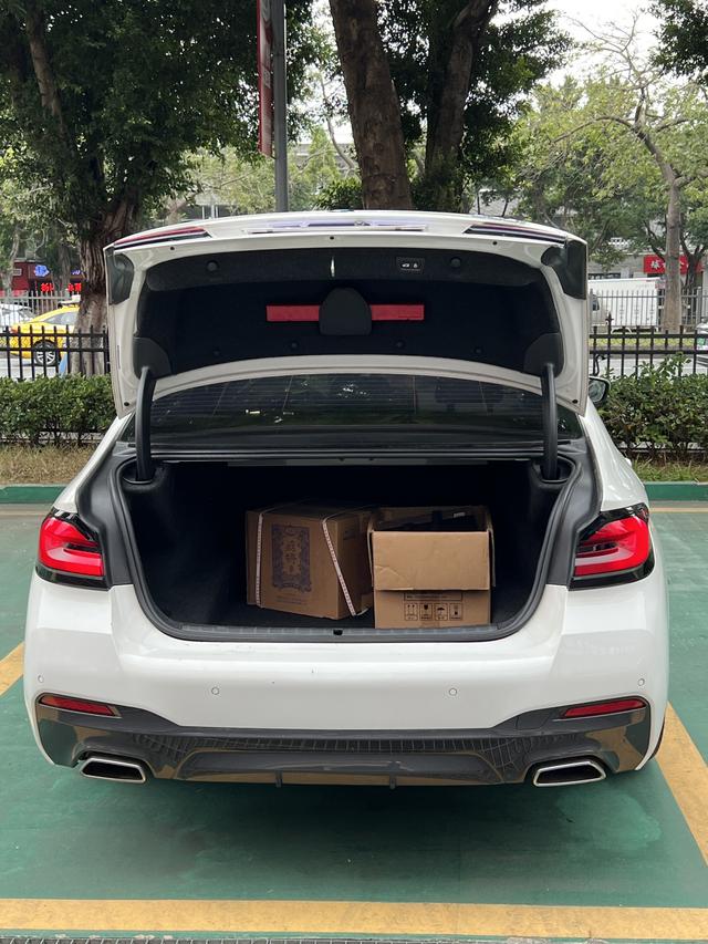 BMW 5 Series (Imported) 2021 imagem de carro #8