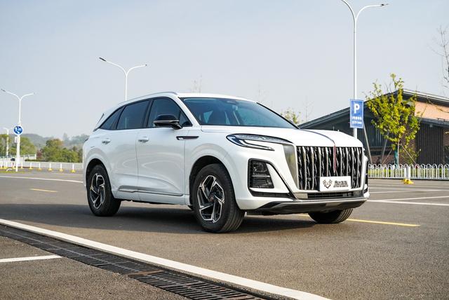 HongQi HS3 2023 immagine di auto #8