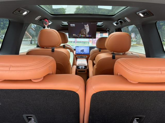 Deepal S09 2025 immagine di auto #8