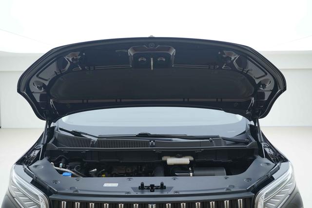 HongQi HQ9 2023 immagine di auto #8