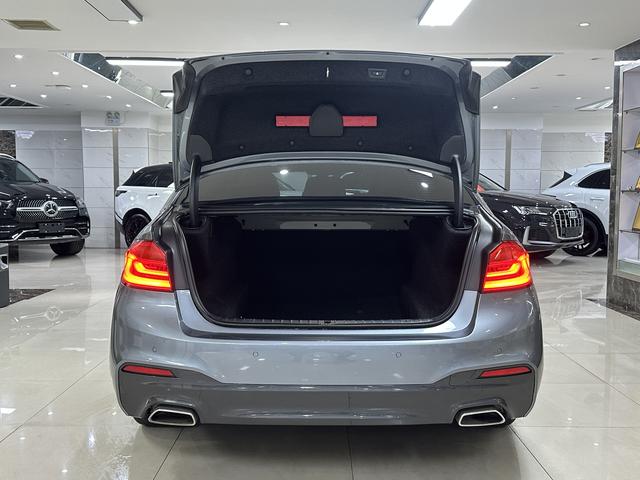 BMW 5 Series (Imported) 2020 car image #8