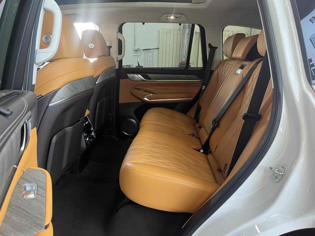 Tank 500 2024 car image #8