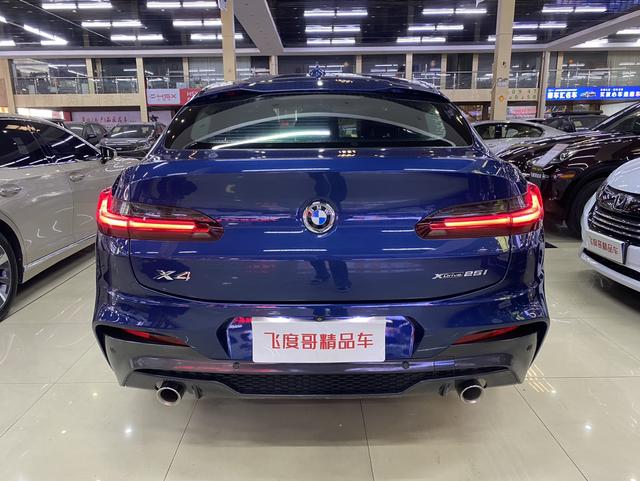 BMW X4 2020 car image #8