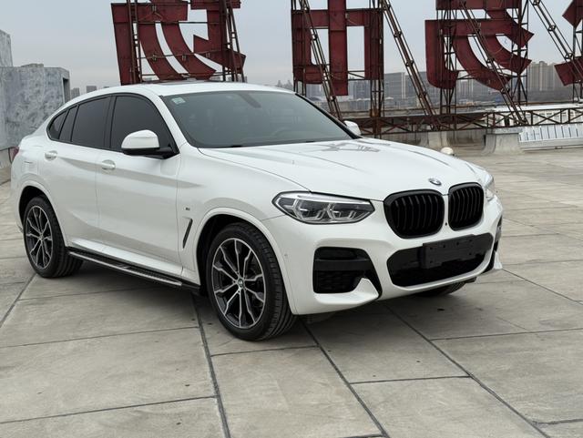 BMW X4 2021 car image #8
