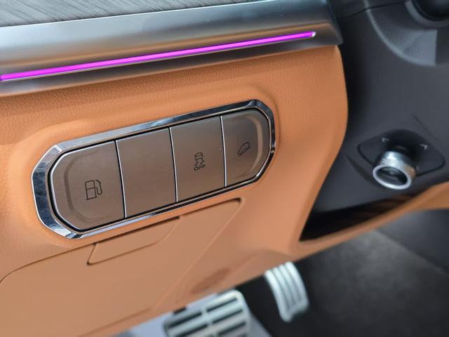 Tank 500 2024 car image #8