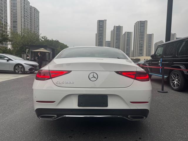 Mercedes-Benz CLS Class 2020 car image #8