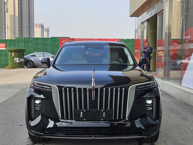 HongQi E-HS9 2022 car image #8