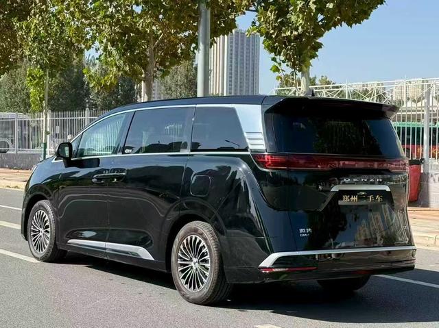 Denza X 2023 car image #8