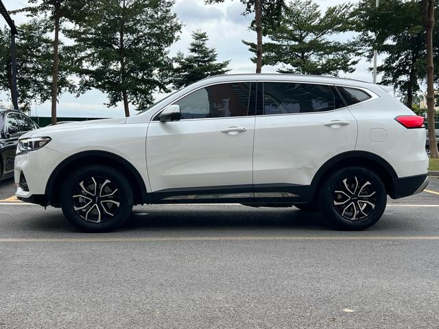 Haval H6 2023 car image #8