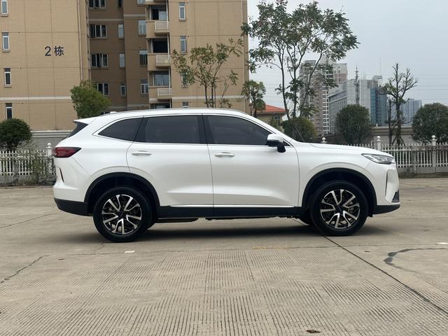 Haval H6 2022 car image #8