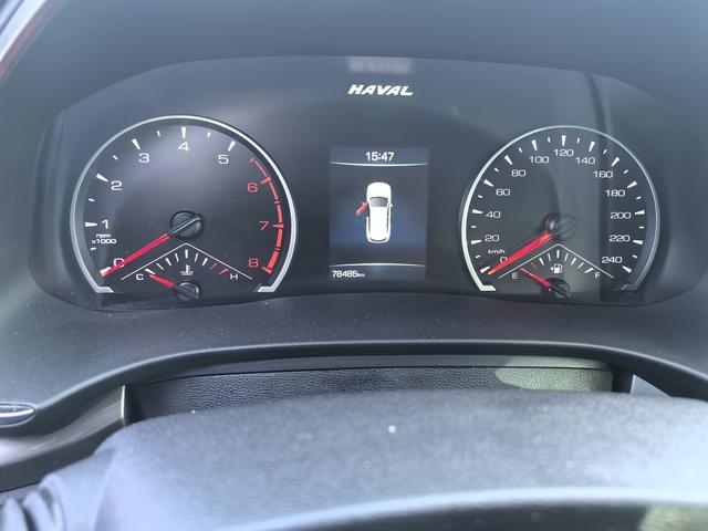 Haval H6 2022 immagine di auto #8