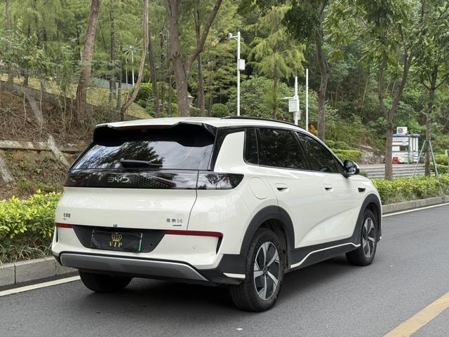 BYD Sea Lion 05 EV 2025 car image #8