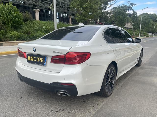 BMW M8 2020 car image #8