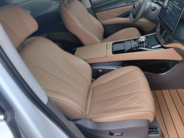 Denza X 2023 car image #8