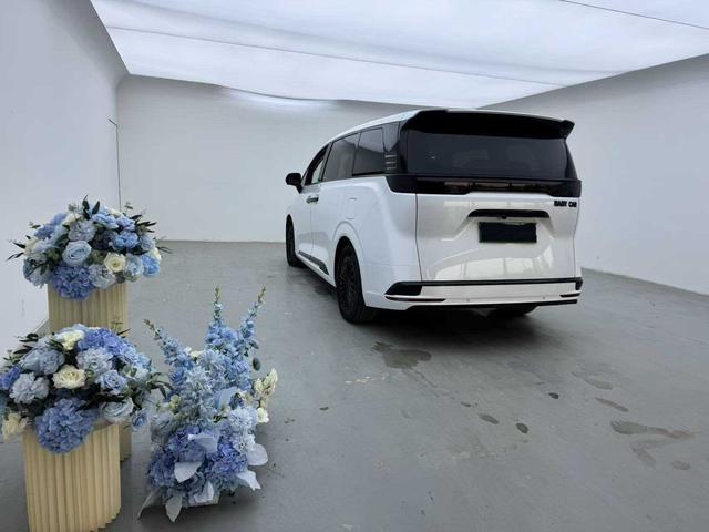 Denza X 2023 изображение автомобиля #8