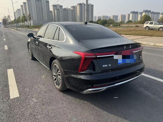 HongQi E-HS3 2025 #8 HongQi E-HS3 2025 car image #8