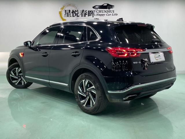 HongQi ShengShi 2023 #8 HongQi ShengShi 2023 car image #8