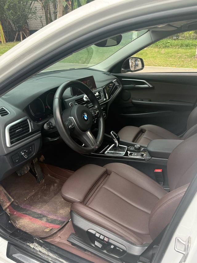 BMW M5 New Energy 2020 car image #8