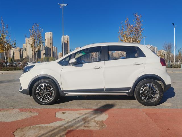 Livan Maple 30X 2021 изображение автомобиля #8