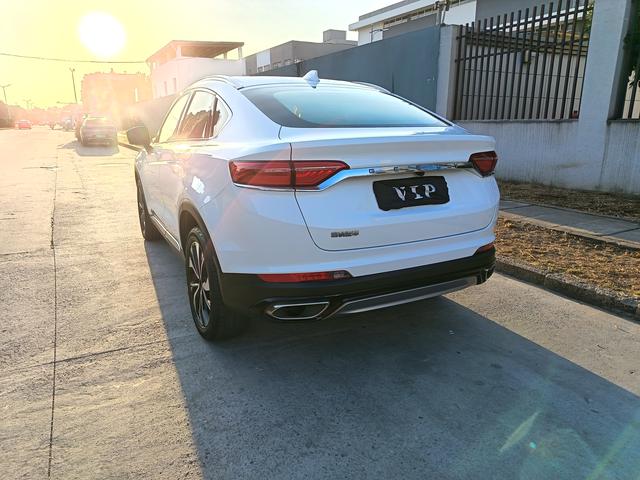 GEELY Tugella S 2021 car image #8