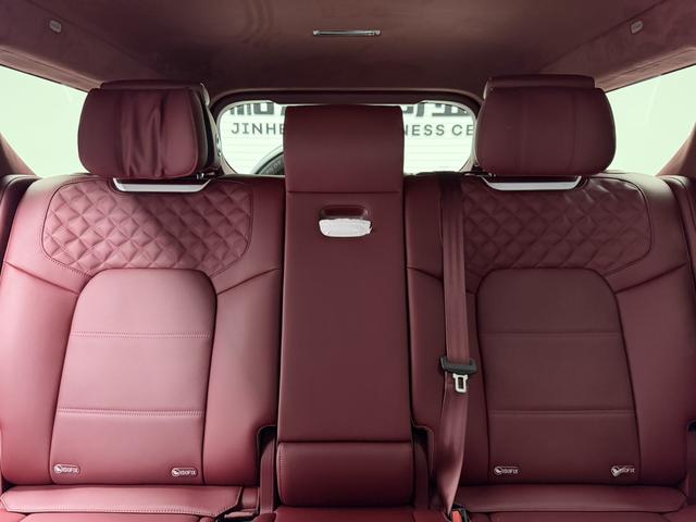 Tank 700 New Energy 2025 immagine di auto #8