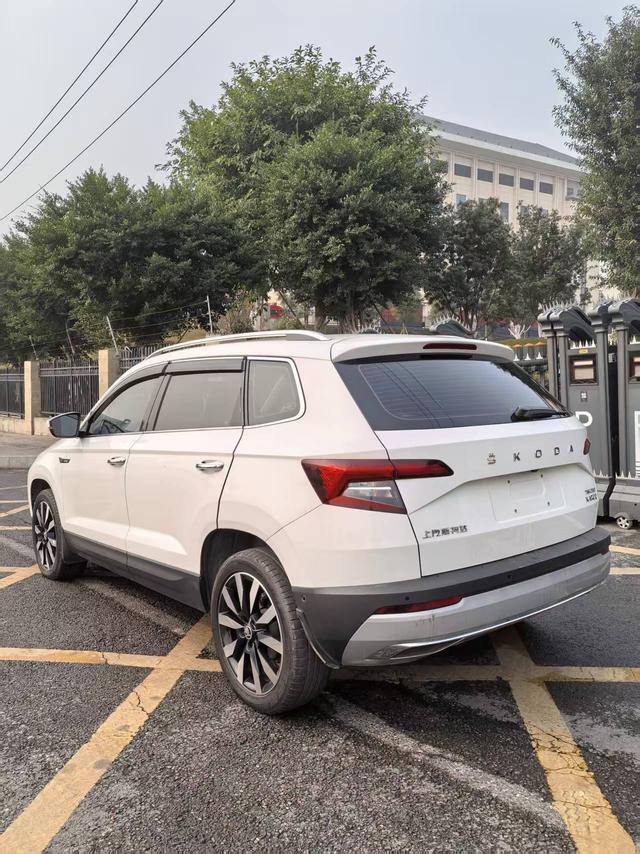 Skoda Karoq 2021 car image #8
