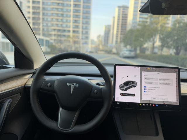 Tesla Model 3 2020 car image #8