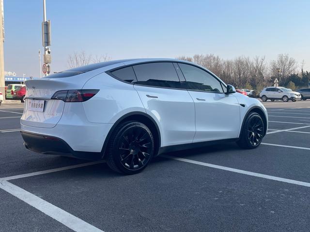 Tesla Model Y 2023 #8 Tesla Model Y 2023 car image #8