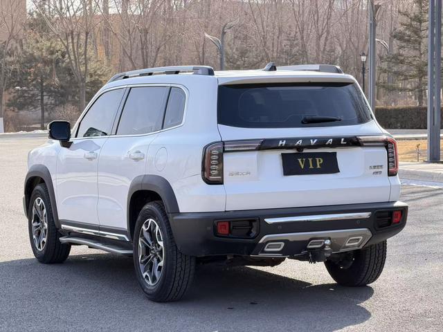 Haval X Dog / Dargo 2022 #8 Haval X Dog / Dargo 2022 car image #8