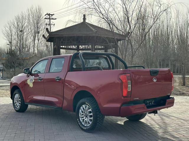 Great Wall Poer 2020 car image #8