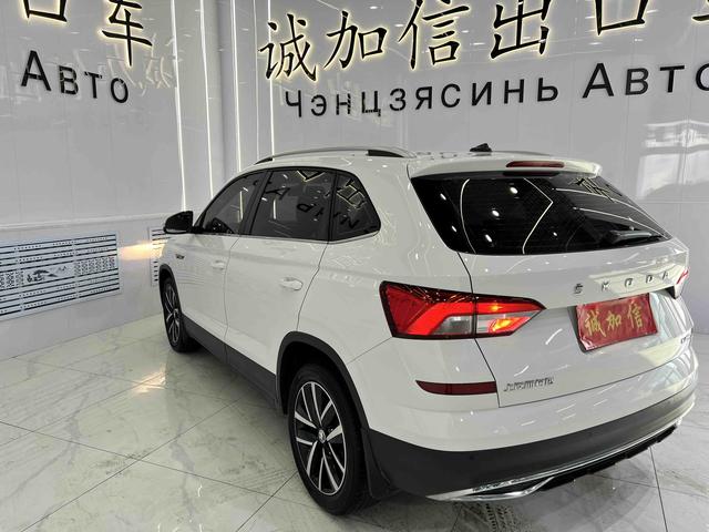 Skoda Kamiq 2022 #8 Skoda Kamiq 2022 car image #8