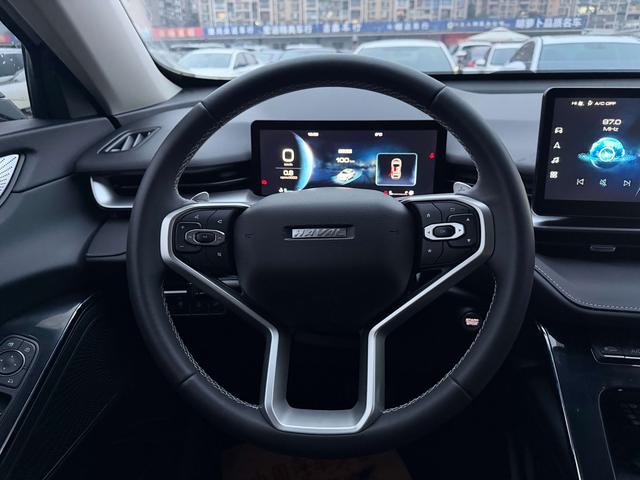 Haval 2021 immagine di auto #8