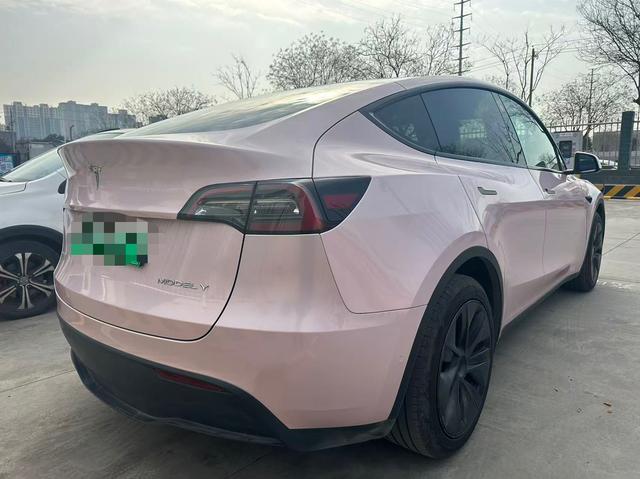Tesla Model Y 2023 car image #8