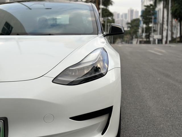 Tesla Model 3 2022 car image #8
