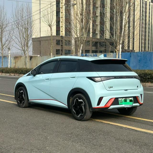 BYD Dolphin 2022 car image #8