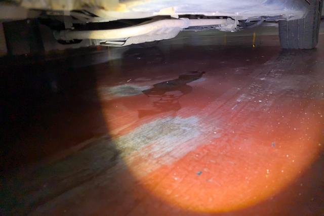 GAC Qizhi PHEV 2019 imagem de carro #8