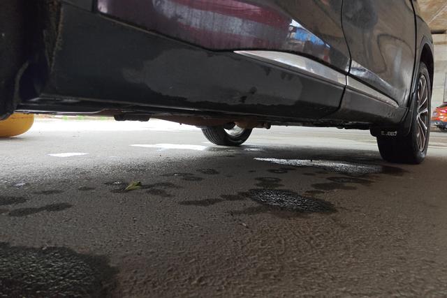 Exceed Lingyun 2019 car image #8