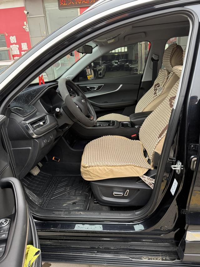 Chery Tiggo 8 2020 image de voiture #8