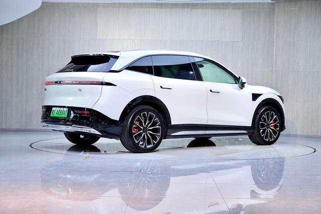 极氪 极氪7X 2024 汽车图片 #8
