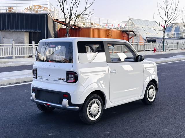 睿蓝汽车 2026 汽车图片 #8